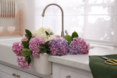 Beautiful bouquet of hydrangea flowers in sink with running water clipart