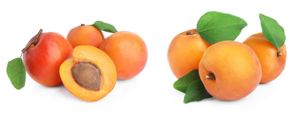 Set Frischer Aprikosen Auf Weißem Hintergrund Bannerdesign — Stockfoto