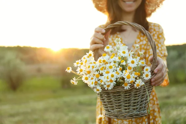 Femme Avec Panier Osier Plein Camomilles Extérieur Gros Plan — Photo