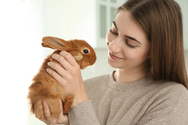 年轻的女人和可爱的兔子在室内 可爱的宠物 — 图库照片