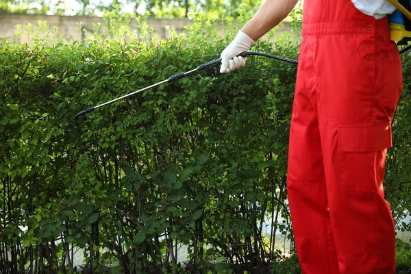 Arbeiter Sprühen Pestizide Auf Grünen Busch Freien Nahaufnahme Schädlingsbekämpfung — Stockfoto