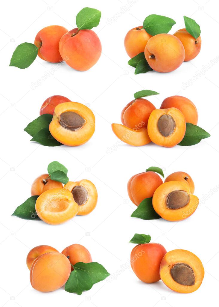 Set of fresh apricots on white background