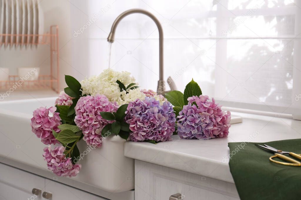 Beautiful bouquet of hydrangea flowers in sink with running water