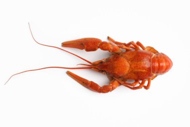 Lezzetli kaynamış kerevit, beyaz, üst manzara