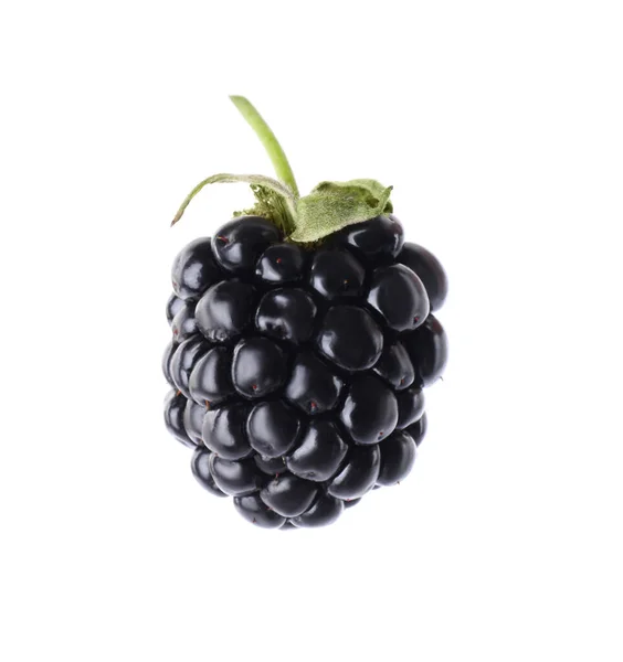 Delicious Fresh Ripe Blackberry Isolated White — Stock Photo, Image