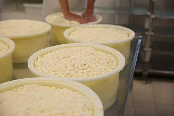 Moldes Com Coalhada Prensada Mesa Fábrica Queijo Close — Fotografia de Stock