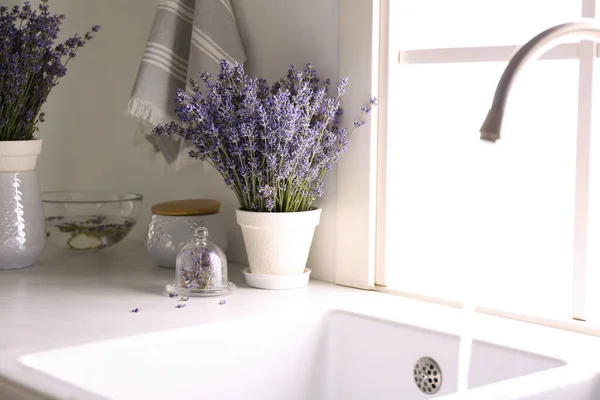 Beautiful Lavender Flowers Countertop Sink Kitchen — Stock Photo, Image