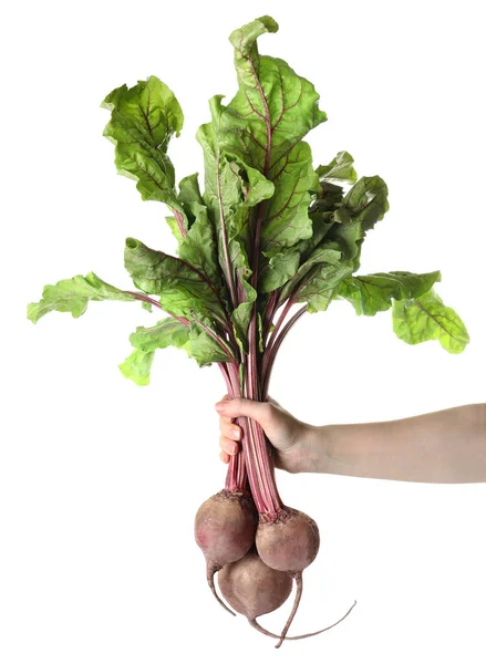 Woman Holding Raw Ripe Beets White Background Closeup — Stock Photo, Image