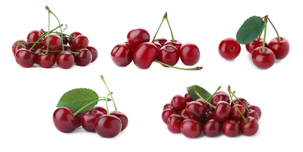 Set Ripe Cherries White Background Banner Design — Stock Photo, Image