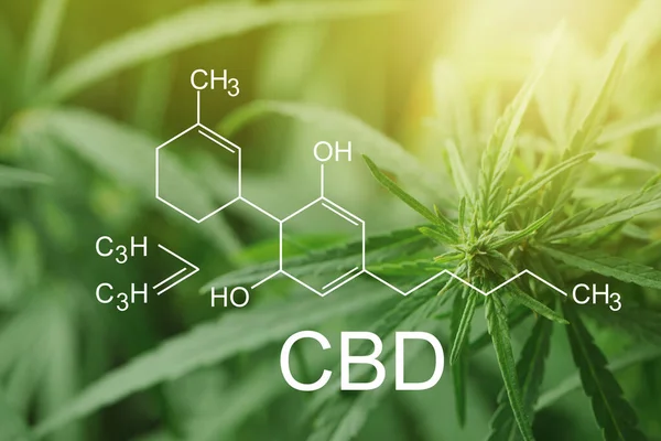 Molekula CBD