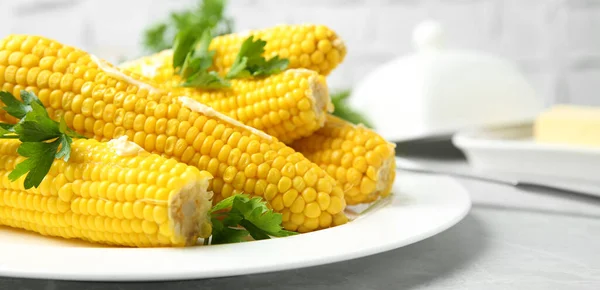 Boiled Corn Cobs Butter Parsley Light Grey Table Closeup Banner — Stock Photo, Image