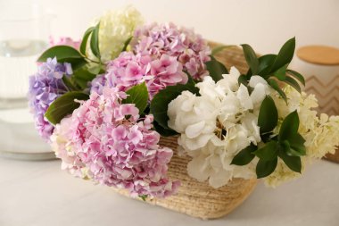 Beautiful hydrangea flowers in basket on light table, closeup clipart
