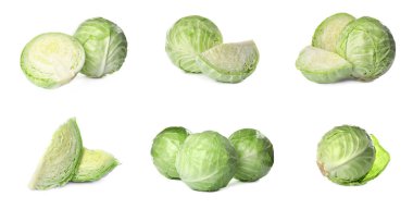 Beyaz arka planda izole edilmiş taze, olgun lahana seti. Pankart tasarımı