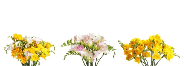 Set Beautiful Freesia Flowers Isolated White Banner Design — Stock Photo, Image