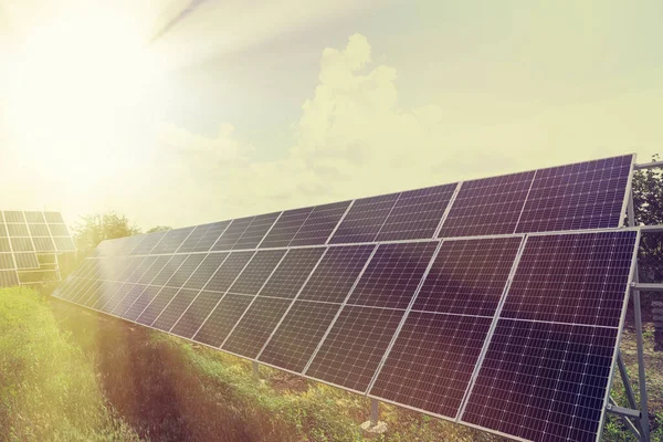 Painéis Solares Livre Dia Ensolarado Fonte Energia Alternativa — Fotografia de Stock