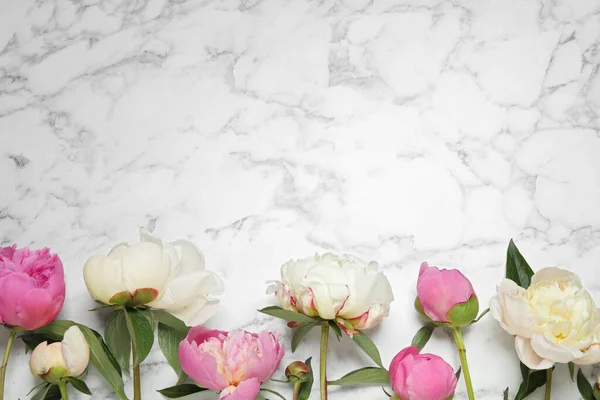 Prachtige Pioenrozen Witte Marmeren Achtergrond Vlak Gelegd Ruimte Voor Tekst — Stockfoto