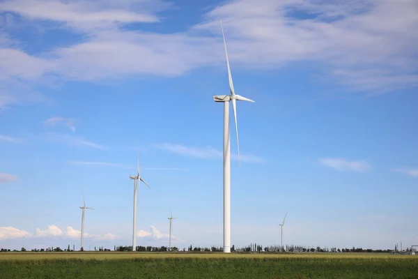 Prachtig Uitzicht Het Veld Met Windturbines Alternatieve Energiebron — Stockfoto