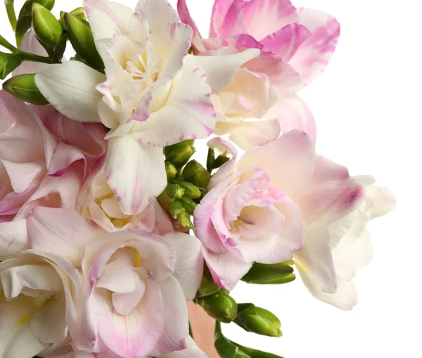 Csokor Gyönyörű Frézia Virágok Fehér Háttér Közelkép — Stock Fotó