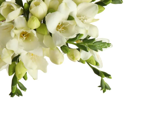 Beau Bouquet Freesia Aromatique Isolé Sur Blanc — Photo