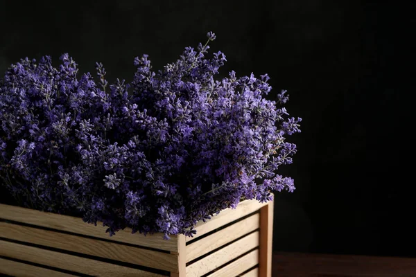 Schöne Lavendelblüten Holzkiste Vor Dunklem Hintergrund Nahaufnahme — Stockfoto