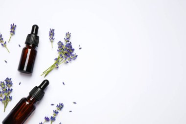 Beyaz arka planda lavanta çiçekleri ve doğal yağlı kompozisyon, üst görünüm