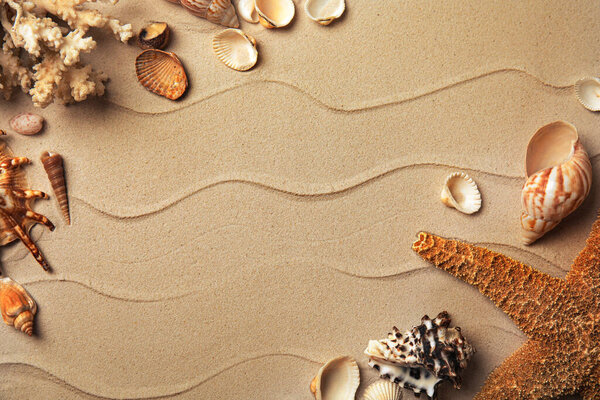 Different beautiful sea shells on sand, flat lay. Space for text