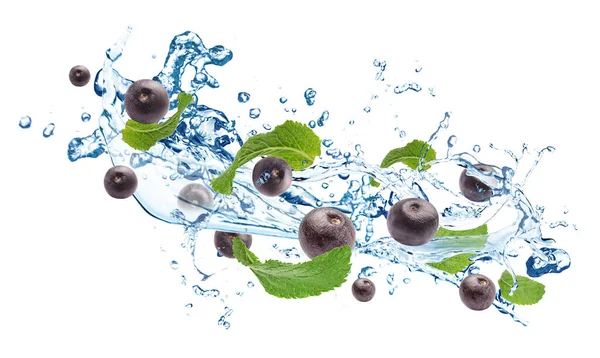 Water Splash Acai Berries Mint Leaves White Background — Stock Photo, Image