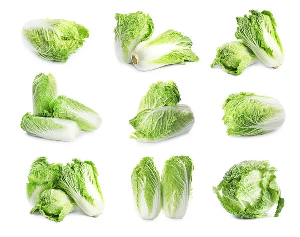 Set Fresh Ripe Chinese Cabbages White Background — Stock Photo, Image