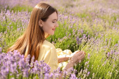 Yaz günü lavanta tarlasında genç bir kadın.