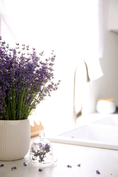 Beautiful lavender flowers on countertop in kitchen. Space for text