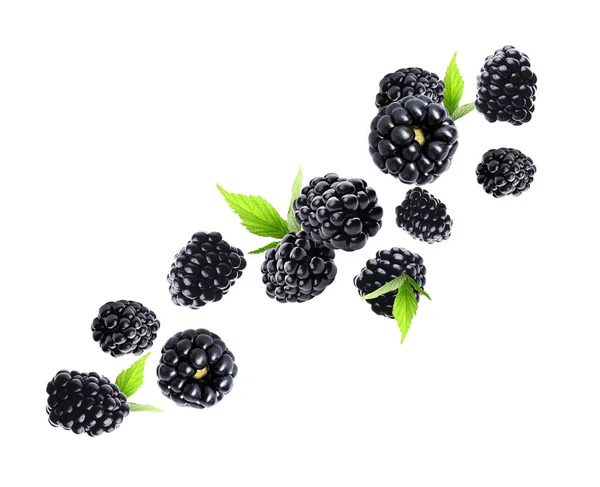 Fresh Tasty Blackberries Flying White Background — Stock Photo, Image