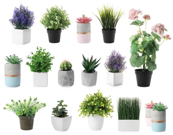 Conjunto Plantas Artificiais Vasos Flores Isolados Branco — Fotografia de Stock