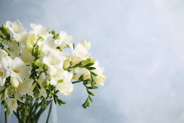 Mooie Freesia Bloemen Blauwe Achtergrond Close Ruimte Voor Tekst — Stockfoto