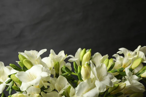 Schöne Freesia Blumen Auf Schwarzem Hintergrund Nahaufnahme — Stockfoto