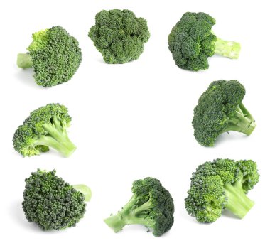 Beyaz arkaplanda taze yeşil brokoli çerçevesi