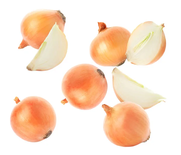 Schnitt Und Ganze Zwiebelzwiebeln Fallen Auf Weißem Hintergrund — Stockfoto