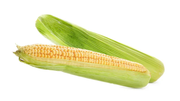 Fresh Ripe Corn Cobs White Background Banner Design — Stock Photo, Image