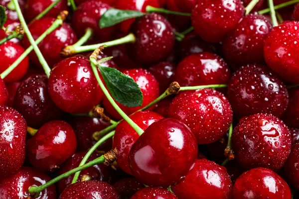 Cerezas Rojas Dulces Con Gotas Agua Como Fondo Primer Plano — Foto de Stock