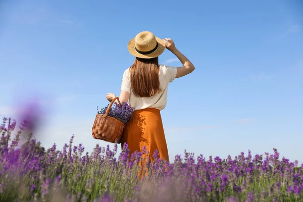 Wanita Muda Dengan Keranjang Penuh Bunga Lavender Lapangan — Stok Foto