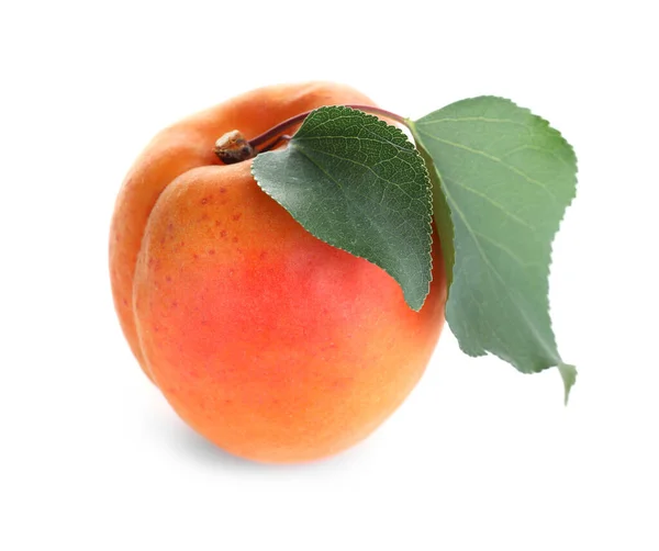 Delicious Fresh Ripe Apricot Isolated White — Stock Photo, Image