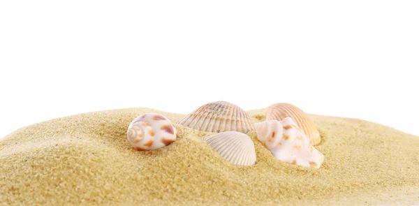 Schöne Exotische Muscheln Und Sand Auf Weißem Hintergrund — Stockfoto