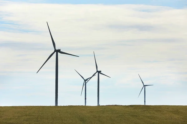 Beautiful View Field Wind Turbines Alternative Energy Source — Stock Photo, Image