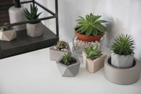 Plantas Suculentas Diferentes Vasos Elegantes Mesa Branca Dentro Casa Design — Fotografia de Stock