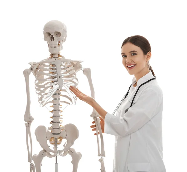 Vrouwelijke Orthopeed Met Menselijk Skelet Model Witte Achtergrond — Stockfoto