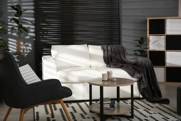 Moderní Interiér Obývacího Pokoje Stylovou Pohodlnou Pohovkou — Stock fotografie