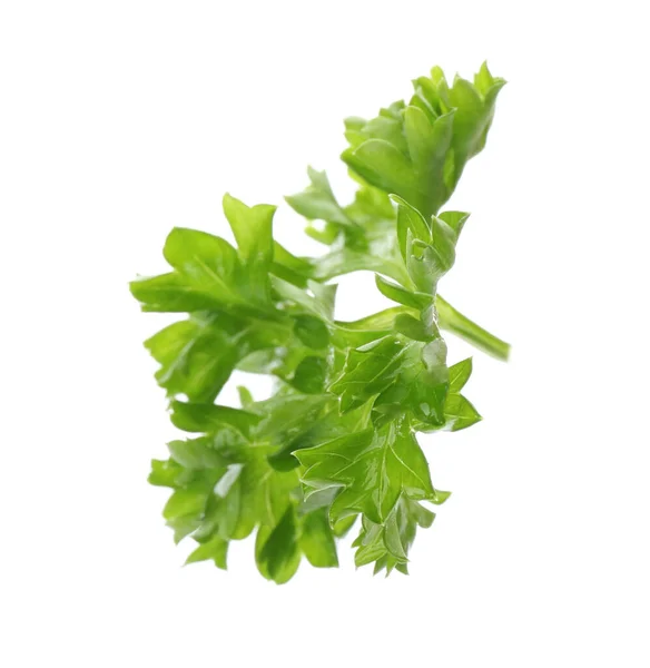 Fresh Green Curly Parsley White Background — Stock Photo, Image