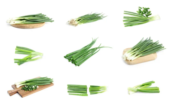 Collage Mit Grünen Frühlingszwiebeln Auf Weißem Hintergrund — Stockfoto