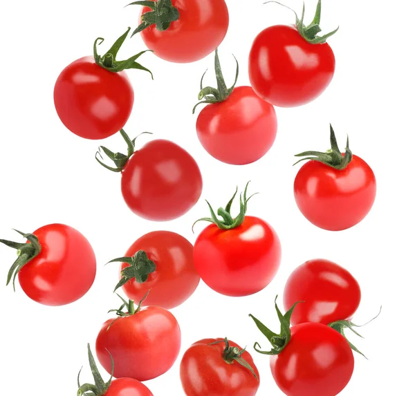 Muitos Tomates Inteiros Caindo Sobre Fundo Branco — Fotografia de Stock