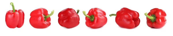 Sada Červené Papriky Bílém Pozadí Návrh Nápisu — Stock fotografie