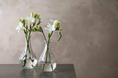 Gri masadaki vazoların içinde güzel frezya çiçekleri. Metin için boşluk